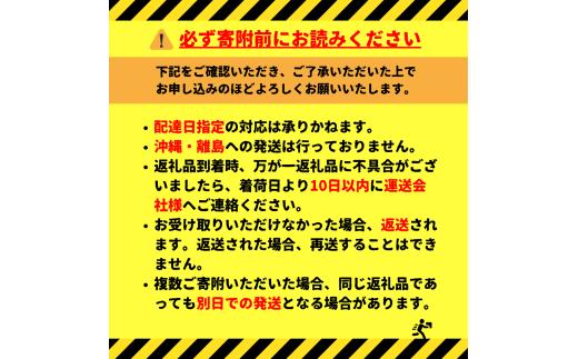 【期間限定缶】ザ・プレミアムモルツ 「余白の贅沢」500ml 缶 24本 ビール サントリー  ※沖縄・離島配送不可【送料無料 お取り寄せ お酒 お中元 ギフト 贈り物 プレゼント 人気 おすすめ 家
