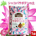【ふるさと納税】北海道 シャコバサボテンの土 5L 1袋 土 培養土 シャコバサボテン サボテン 蝦蛄葉仙人掌 多肉植物 植物 鉢花 ガーデニング ガーデン 園芸 鉢植え 土づくり 植え替え 葉摘み さし芽 趣味 グリーン 品質管理 安心 初心者 送料無料 十勝 士幌町 6000円