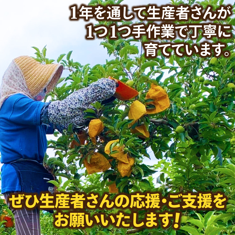 ★サビあり★ りんご はるか 「そばかす冬恋」（自家用「冬恋 はるか」 サビ有） 約2.5kg 糖度15度以上【先行予約 12月発送予定】 数量限定 岩手県産 りんご リンゴ 林檎 冬恋 はるか フル