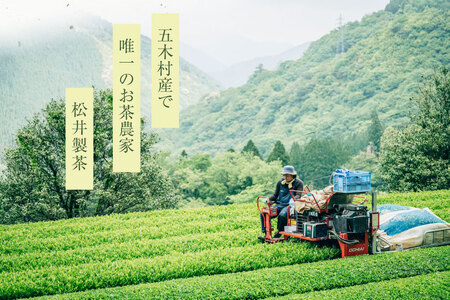 【栽培期間中農薬不使用・化学肥料不使用】 お茶 緑茶 急須がなくても飲める 五木茶 セット [松井製茶 熊本県 五木村 51120226] 小分け 個包装 粉末 ティーパック ティーバッグ スティック
