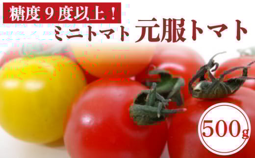 赤崎元服トマト フルーツトマト 500g (100g×5パック) 野菜 ミニトマト テレビ TV 放送 ニュース 番組 大船渡 大船渡市 三陸 岩手県