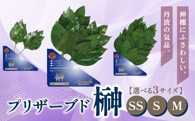 
            プリザーブド 榊 SS / S / M サイズ （1対 2束）【天然 国産 サカキ 神棚 神具 祭壇 玉串 神事 仏壇 仏花 お供え お墓 お盆 お彼岸 新盆 祭 水かえ不要 枯れない プリザーブドフラワー】
          
