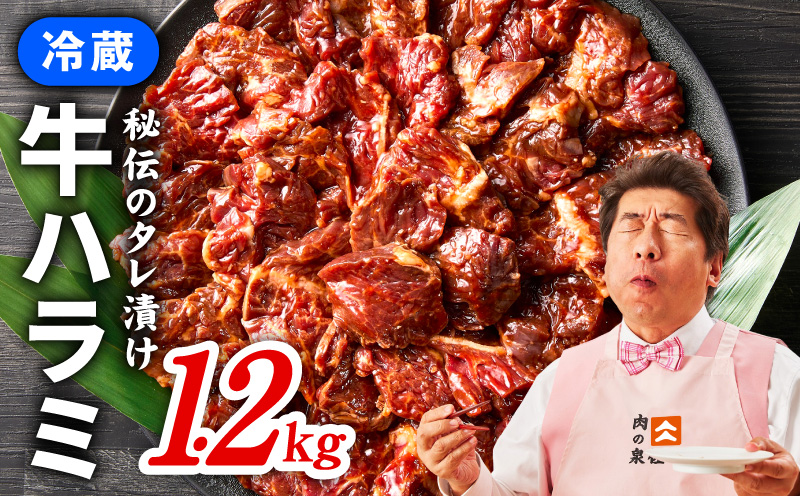 【冷蔵配送】牛ハラミ肉 焼肉用 味付け 1.2kg【小分け 300g×4P 牛肉 焼肉用 焼くだけ 小分け BBQ やきにく 大阪 泉佐野 大阪府 泉佐野市】