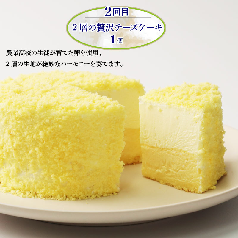 スイーツ 定期便 全3回 チーズケーキ ガトーショコラ モンブラン 苺 チーズ 葛アイス アイス あんこ どら焼き なまどらやき お菓子 デザート おやつ 新柳本店 新潟 新発田 sinyanagi0