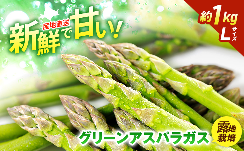 【2026年5月発送】北海道 富良野産 露地 グリーン アスパラ Lサイズ約1kg 野菜 アスパラガス