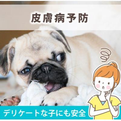 ふるさと納税 知立市 次亜塩素酸水 200ppm 500ml スプレー ジア ペット |  | 02