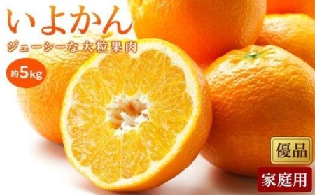 【2027年1月中旬頃から順次発送】いよかん＜優品・家庭用＞約5kg （ 愛媛産 愛媛県産 国産 愛媛みかん 愛媛蜜柑 愛媛ミカン みかん ミカン mikan 蜜柑 柑橘 フルーツ 果物 くだもの お取り寄せ 産地直送 数量限定 人気 おすすめ 愛媛県 松山市 送料無料 ）【KK0581】