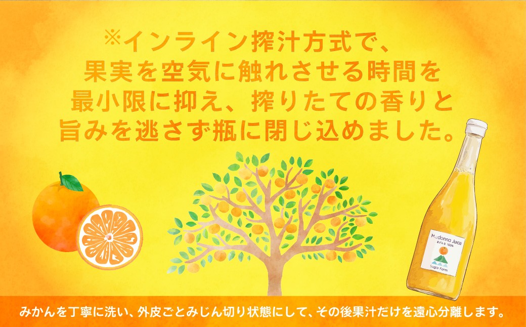 みかん ミカン オレンジ まどんな 愛果28号 みかんジュース ジュース 柑橘 添加物不使用 丸しぼり