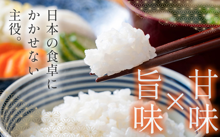 先行予約【5ヶ月定期便】令和7年産　宮崎県産コシヒカリ無洗米　5kg×5回＜8.5-7＞