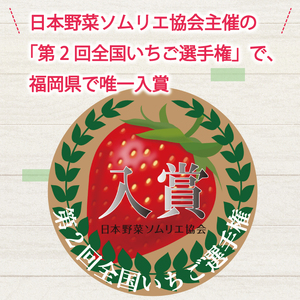 【ふるさと納税】暖家のいちご 完熟あまおう 贈答用4パック [a9405] 社会福祉法人猪位金福祉会 暖家の丘 ※配送不可：北海道・沖縄・離島【返礼品】添田町 ふるさと納税