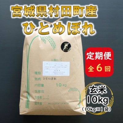 【毎月定期便】宮城県村田町産ひとめぼれ　玄米10kg(10kg×1)全6回【4057110】