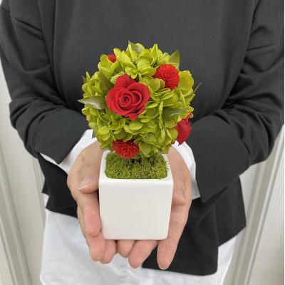 ふるさと納税 春日部市 プリザーブドフラワーアレンジ【プティシュシュ/レッド】春日部市 シュガーパイン |  | 02