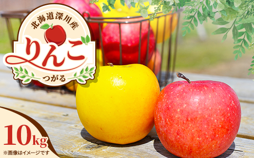 【令和7年産先行受付】北海道深川産りんご(つがる)10kg【ふるさと納税】【配送不可地域：離島】