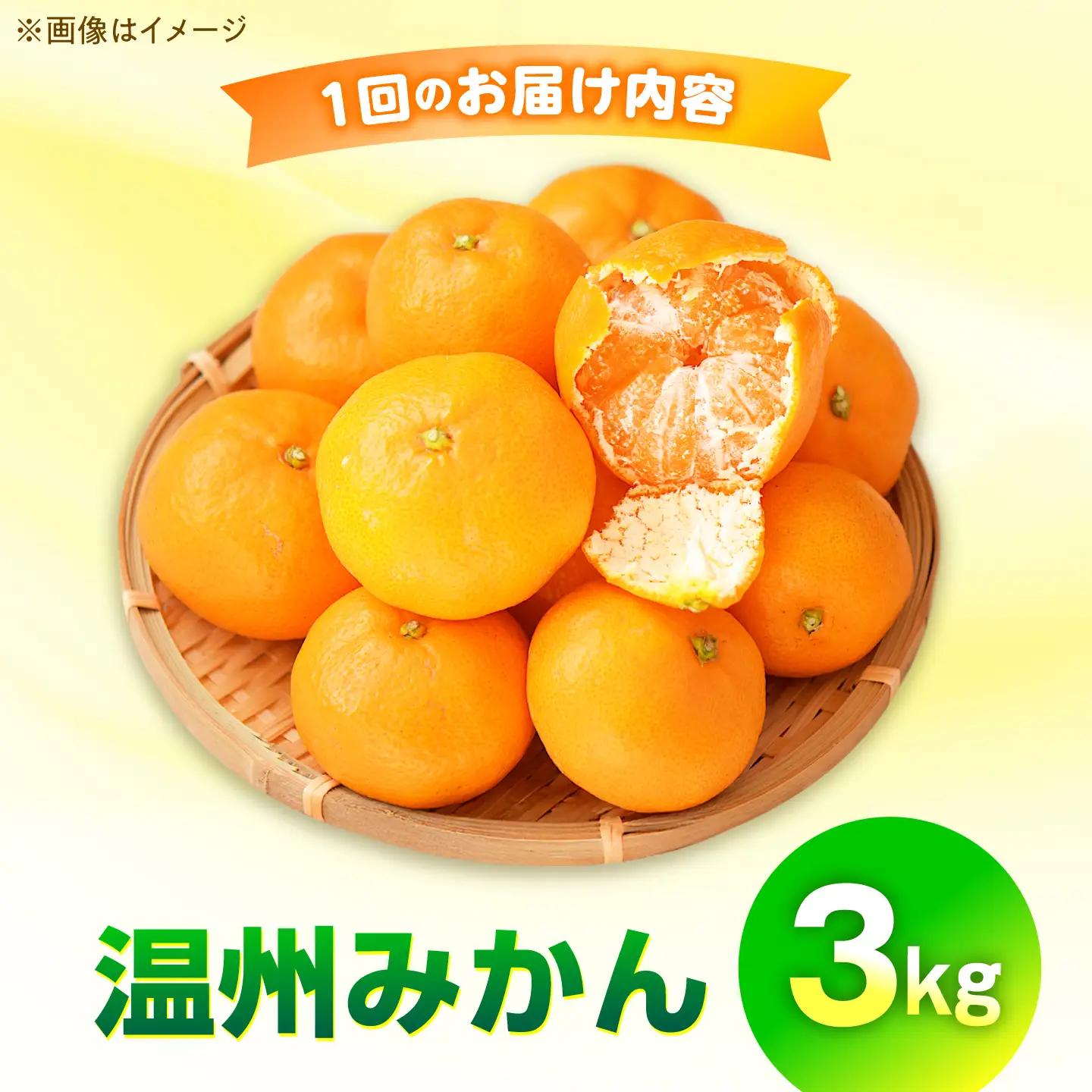 みかん 2回定期便 温州みかん 3kg×2回/ みかん ミカン 蜜柑 甘い フルーツ 果物 みかん ミカン 蜜柑 フルーツ 果物 みかん くだもの柑橘 旬 果実 甘味 酸味 甘い mikan 産地直送