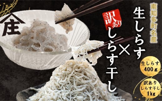 生しらす 400g 訳ありしらす干し 1kg セット 冷凍 刺身 真空パック しらす干し 炒飯 パスタ ごはん 丼 サラダ 魚 料理 愛知県 南知多町 師崎 シラス しらす 小魚 魚貝 魚貝類 しらす シラス 海鮮 しらす丼 シラス丼 ふるさと納税しらすしらす おすすめ 大人気 南知多産しらす愛知県産しらす