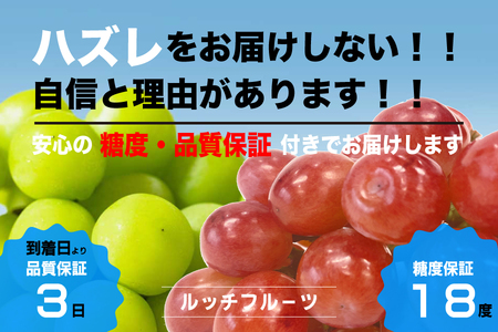 【糖度18度保証付】サンシャインレッド・シャインマスカット食べ比べ 合計約2.1kg 2～5房 FN-Limited 104-021-FN | 「赤いシャインマスカット」【数量限定】旬の美味しいフルーツだけをお届けします【ルッチ Rucci】産地直送 山梨県 笛吹市 果物 葡萄 ぶどう 赤ブドウ 赤系 贈答 人気 ギフト