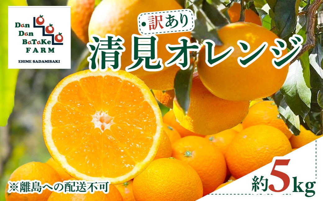 
                  【先行予約】【訳あり】清見オレンジ 約5kg　※2027年3月中旬より順次発送予定  【ふるさと納税 人気 おすすめ ランキング 柑橘 みかん ミカン フルーツ mikan 果物 オレンジ 清見オレンジ Dan Dan BaTaKe FARM 愛媛県産 愛媛県 伊方町 送料無料】 IKTAU015 
                
