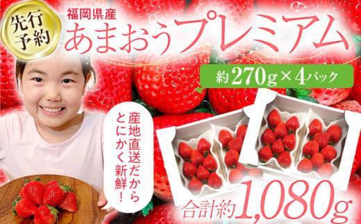 【先行予約/2026年】福岡県産あまおう 約270ｇ×4パック《2026年3~4月発送》 CL002
