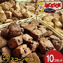 【ふるさと納税】ザクザク スコーン オススメ10コセット(2) (あんチョコ パルメザンチーズ クルミチョコ マカダミアナッツとホワイトチョコ ダブルチョコ)各2個 計10個[JACKSONスコーンズ 高知県 津野町 26ab0002] お菓子 冷蔵