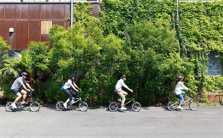 Tyrell(タイレル) IVE 鶯 (uguisu) 自転車 折りたたみ式 ミニベロ スポーツ ロードバイク スポーツサイクル 通勤 通学 サイクリング 変速付き 香川県