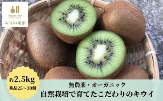 キウイ 2.5kg みその農園 自然栽培 無農薬  国産 徳島県 ※離島への配送不可 ※2024年12月頃より順次発送予定