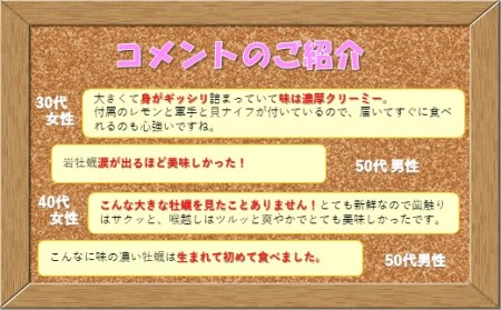 かき 【九十九島 岩牡蠣】 かき 3.5kg （小夏） A165