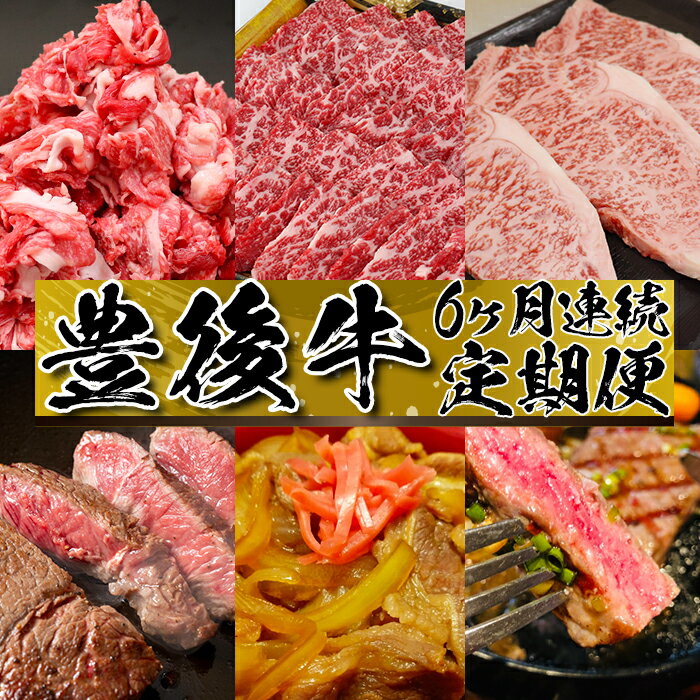 【ふるさと納税】6か月連続！おおいた豊後牛定期便！ お楽しみ＜105-801_5＞