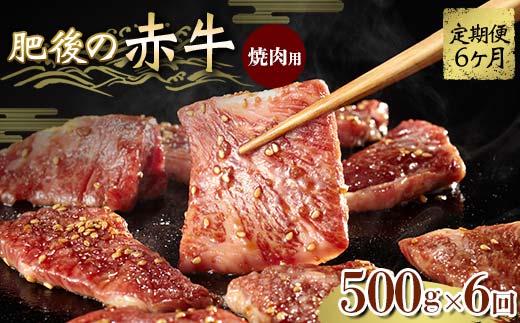 FKK19-840_【6ヵ月定期】肥後の赤牛 焼肉用 500g