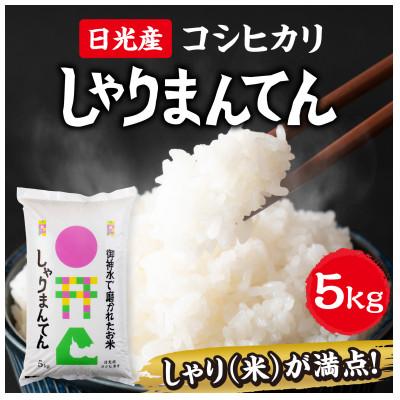 ふるさと納税 日光市 新米【令和7年産米】　日光産コシヒカリ　しゃりまんてん　精米　5kg