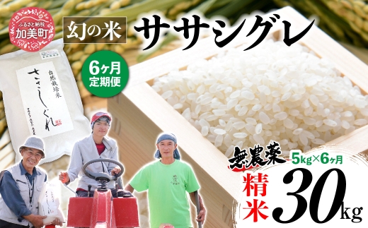 【新米予約】《 希少品種米 》 米 令和8年 宮城県産 ササシグレ ( 栽培期間中農薬・肥料不使用 ) 【 6回 定期便 】 精米 白米 5kg × 6ヶ月 （ 合計 30kg ）｜ 宮城県 加美町 無農薬 お米 こめ コメ ささしぐれ ササニシキ の 父 ｜ nt-ss05-t6-r8