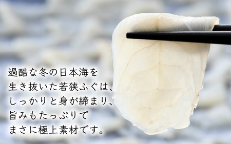 【先行予約】【着日指定】 【冷蔵でお届け】 若狭ふぐ てっさ セット 4人前【2024年9月より順次発送】 [C-005003] 
