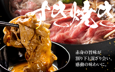 【ふるなび限定】 [A5等級] 飛騨牛モモ すき焼き しゃぶしゃぶ用 600g [mt620] すき焼き トキノ屋食品 FN-Limited-PR