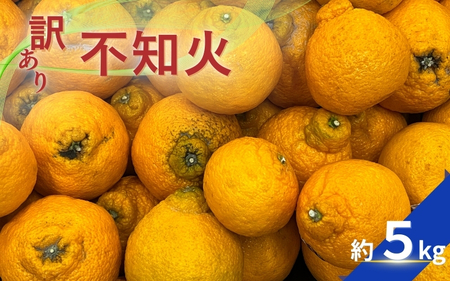 【訳あり】不知火 約5kg 【2026年2月中旬～4月中旬ごろ順次発送予定（お届け日指定不可）】 不知火 みかん ミカン 柑橘 フルーツ 果物 くだもの 人気 旬 産地直送【CE-nuk177A】