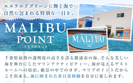 駐車場 駐車券 回数券 10回分 マリブポイント《90日以内に出荷予定(土日祝除く)》利用券 パーキング チケット 千葉県 勝浦市