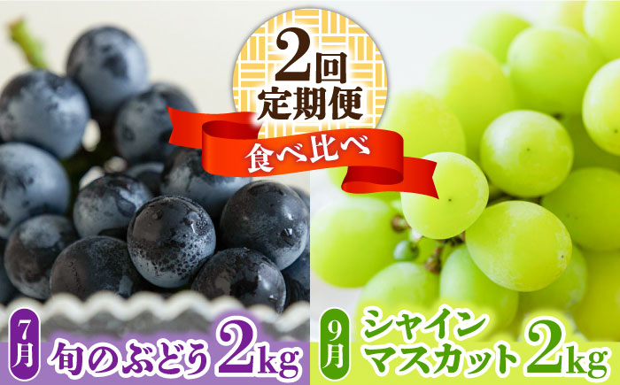 【2025年7月～発送】先行予約！【２回定期便】南島原産！旬のぶどう食べ比べ（ブラックビート・巨峰・ピオーネのいずれか）・シャインマスカット / 南島原市 / ながいけ [SCH062]