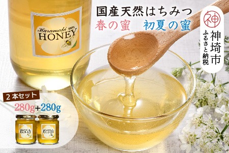 【春の蜜 & 初夏の蜜セット】2025年産 国産天然蜂蜜 春の蜜280g & 初夏の蜜280g【合計560g】【蜂蜜 パンケーキ ヨーグルト 甘み フルーティ とろとろ】(H049129)