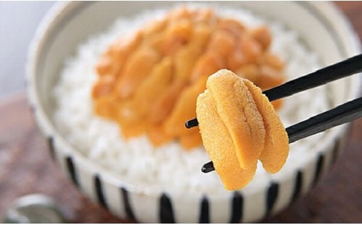 【ウニとイクラの豪華競演！】生うに折60g&いくら醤油漬90g ふるさと納税 うに いくら F4F-8822