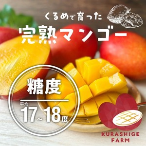 【2027年7月以降お届け】【家庭用】くるめで育った完熟マンゴー（2～3玉：約0.8～1kg）_ 〔Fm009-023〕