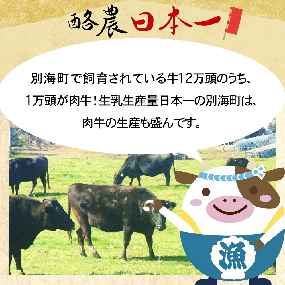 【定期便】黒毛和牛「別海和牛」ロースステーキ 用 500g × 12ヵ月【全 12回】【be010-240a003-6】_イメージ3
