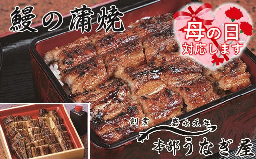 【母の日ギフト】老舗「本部うなぎ屋」鰻の蒲焼　カット済み　国産鰻<12-1a>
