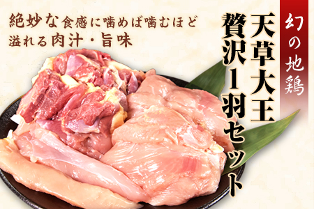 天草大王　贅沢1羽セット《60日以内に出荷予定(土日祝除く)》約1.5kg【幻の地鶏】もも・むね・ささみ 各2枚 熊本県産 あそ大王ファーム株式会社