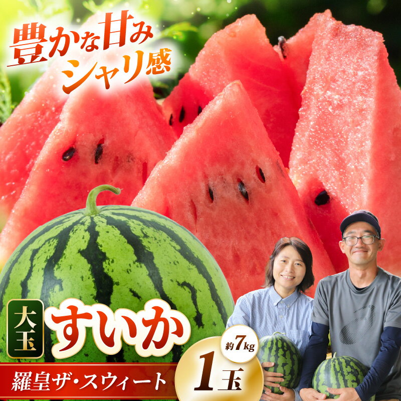 【ふるさと納税】【先行予約】大玉スイカ 羅皇ザ・スイート 1玉（約7kg） 藤重農園の露地スイカ ／ すいか 西瓜 果物 フルーツ 夏 ギフト 福井県あわら市 農家直送 産地直送 糖度 シャリシャリ シャリ感 ※2027年7月中旬以降順次発送