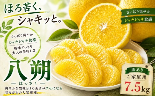＜凛とした苦み 愛媛県産八朔 合計約7.5kg＞『2027年2月上旬～3月下旬迄に順次出荷予定』訳あり はっさく さわやか ほろ苦い ミカン 蜜柑 ご家庭用 果汁 果物 くだもの フルーツ オレンジ 柑橘 特産品 極尽道 愛媛県 西予市 【常温】