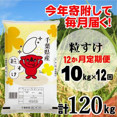 ふるさと納税 大網白里市 【毎月定期便】粒すけ 精米 10kg (5kg×2袋)全12回