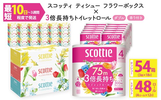 ＜ボックスティッシュ＆トイレットロールセット＞スコッティ ティシュー フラワーボックス 250組 54箱＆スコッティ フラワーパック 3倍長持ち 48ロール (ティッシュ：3箱×18パック・トイレットロール：4ロール×12パック)【fc-AS004-B】【日本製紙クレシア株式会社】