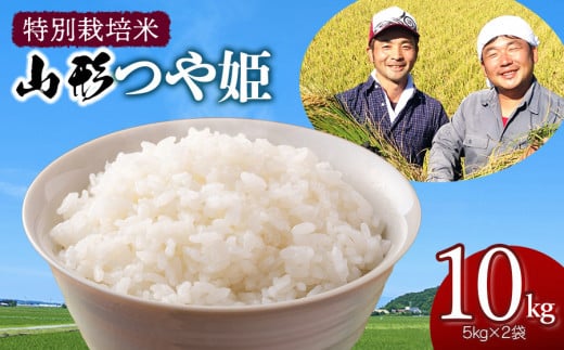 【令和7年産先行予約】 特別栽培米 山形つや姫 精米10kg(5kg×2袋)　山形県鶴岡市産　鶴岡ファーマーズ