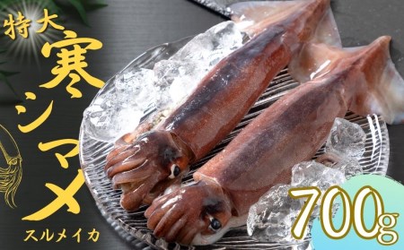 【のし付き スルメイカ丸ごと】朝どれ寒シマメ特大サイズ 丸ごと2杯セット 700g?800g いか イカ スルメイカ CAS CAS冷凍 年末年始 お正月 お歳暮 御歳暮 ギフト