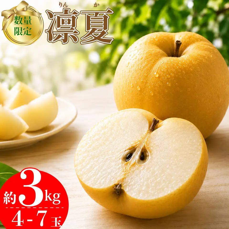 【ふるさと納税】＜梨 凛夏りんか 【期間・数量限定】＞梨 約3kg 4～7玉 フルーツ fruit 高知県 佐川町 黒岩梨生産者組合 【常温】