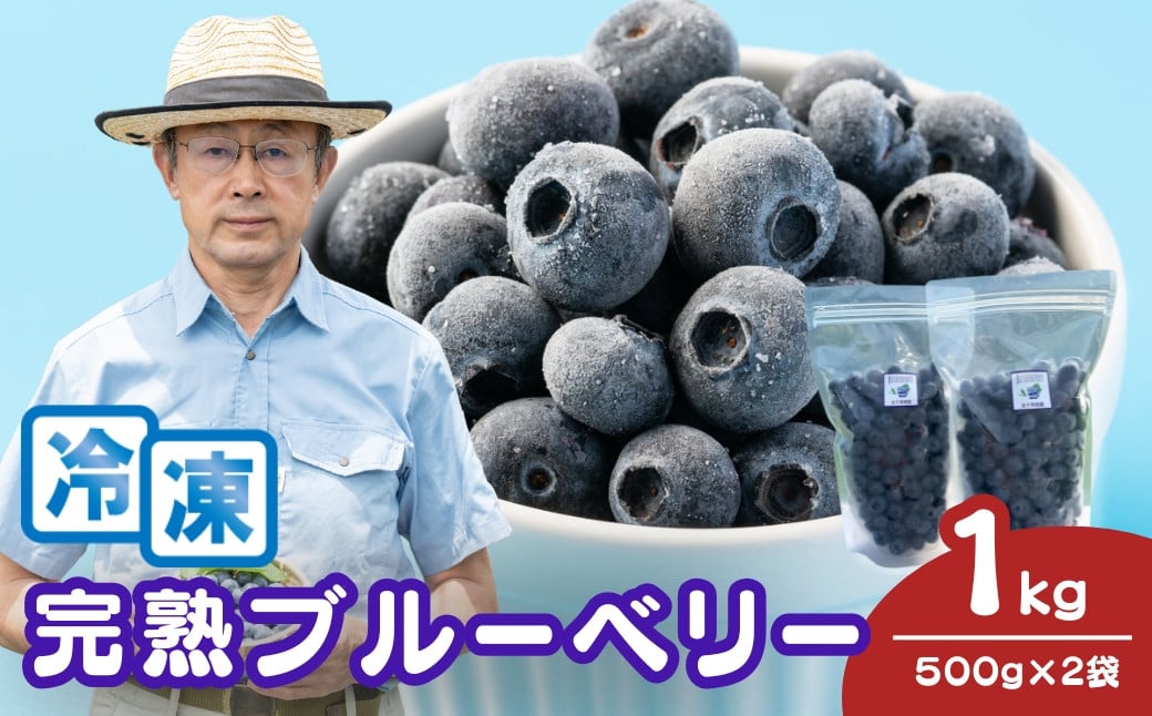 
            国産冷凍ブルーベリー 500g×2袋 計1kg | 国産 大粒 冷凍ブルーベリー 新鮮 フレッシュ 即冷凍 くだもの ぶるーべりー 贈答 ギフト プレゼント 化粧箱 産直 旬 食べ比べ 完熟 お取り寄せ 農家 直送 デザート フルーツ ヨーグルト ケーキ ジャム作り こだわり 果物 北本市産 金子果樹園 埼玉県 北本市
          