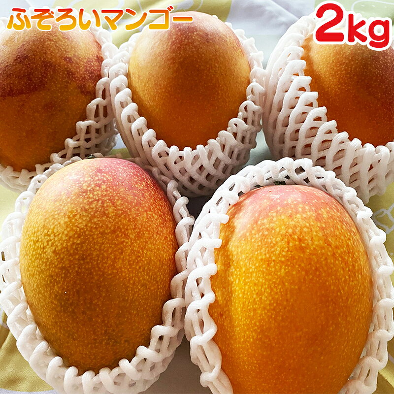 【ふるさと納税】ふぞろい完熟マンゴー2kg（約4〜6個）訳あり ご家庭用（加工用）＜32-1a＞
